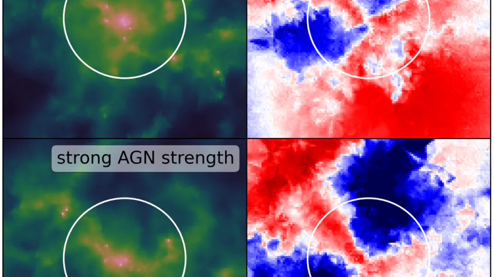 FLAMINGO: Galaxy formation and feedback effects on the gas density and velocity fields