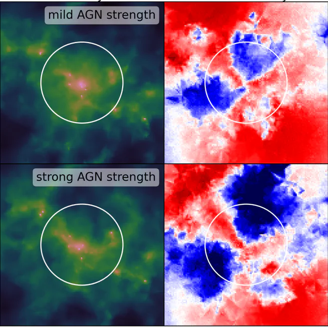 FLAMINGO: Galaxy formation and feedback effects on the gas density and velocity fields